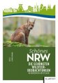 Schönes NRW Die schönsten Wildtierbeobachtungen in Nordrhein-Westfalen