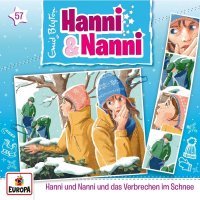 Hanni und Nanni und das Verbrechen im Schnee